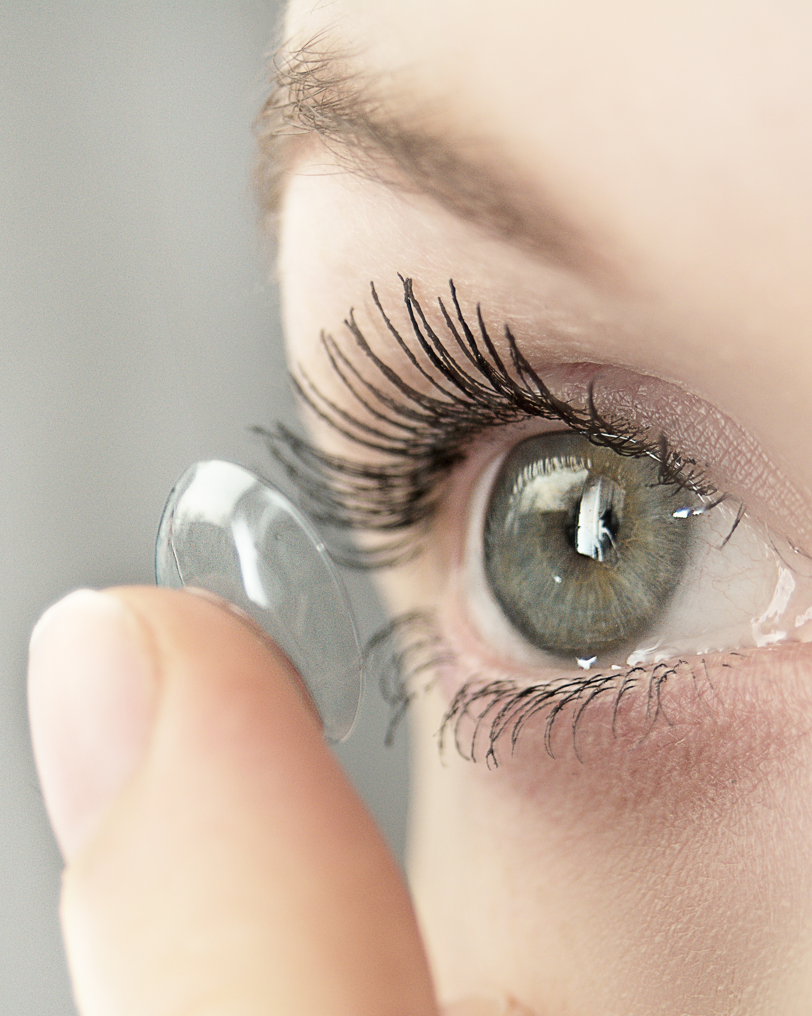 Contact Lenses